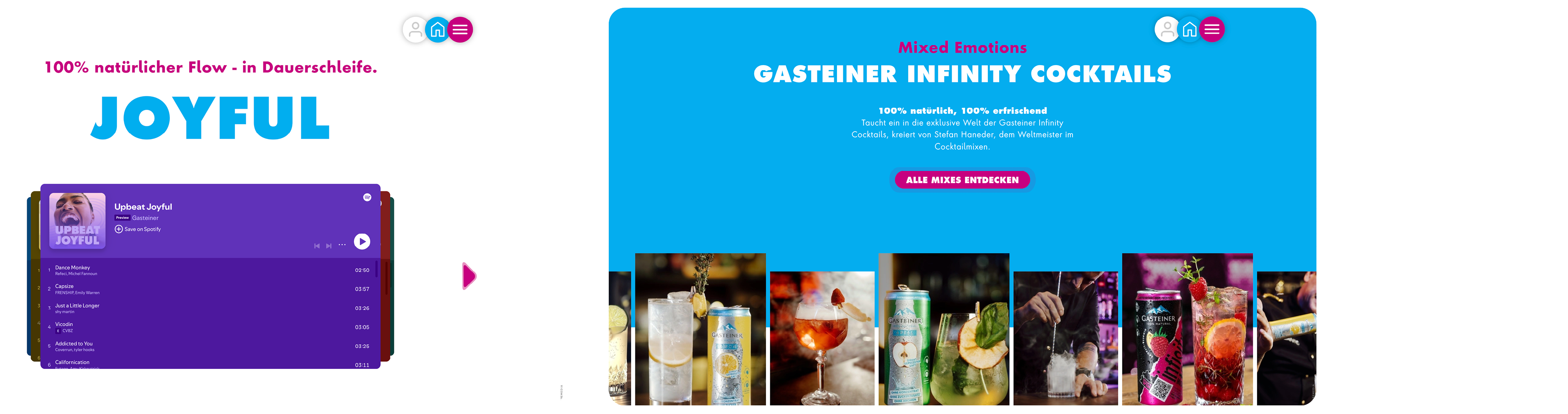 gasteiner infinity screens 2