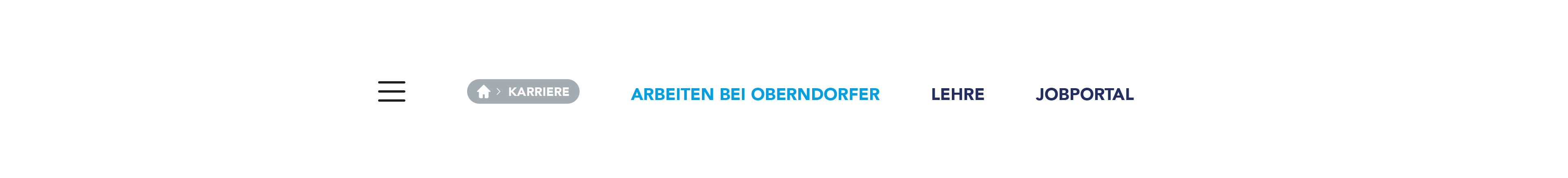 OBERNDORFER – Neue Website für den Pionier im Bereich Betonfertigteile | MOREMEDIA®