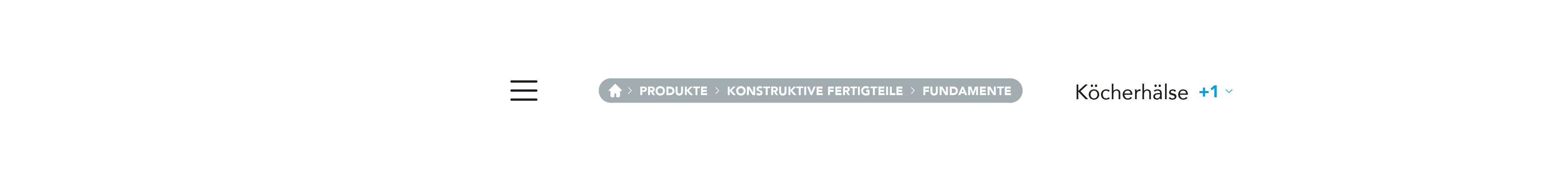 OBERNDORFER – Neue Website für den Pionier im Bereich Betonfertigteile | MOREMEDIA®